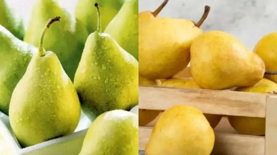General Tips-&nbsp;नाशपाती और बाबूगोशा में क्या अंतर होता हैं, आइए जानें पूरी डिटेल्स