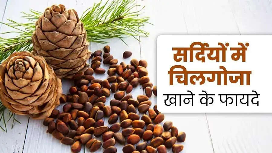 Health Tips- प्रतिदिन चिलगोजा सेवन से मिलते हैं ये स्वास्थ्य लाभ, ऐसे करें सेवन