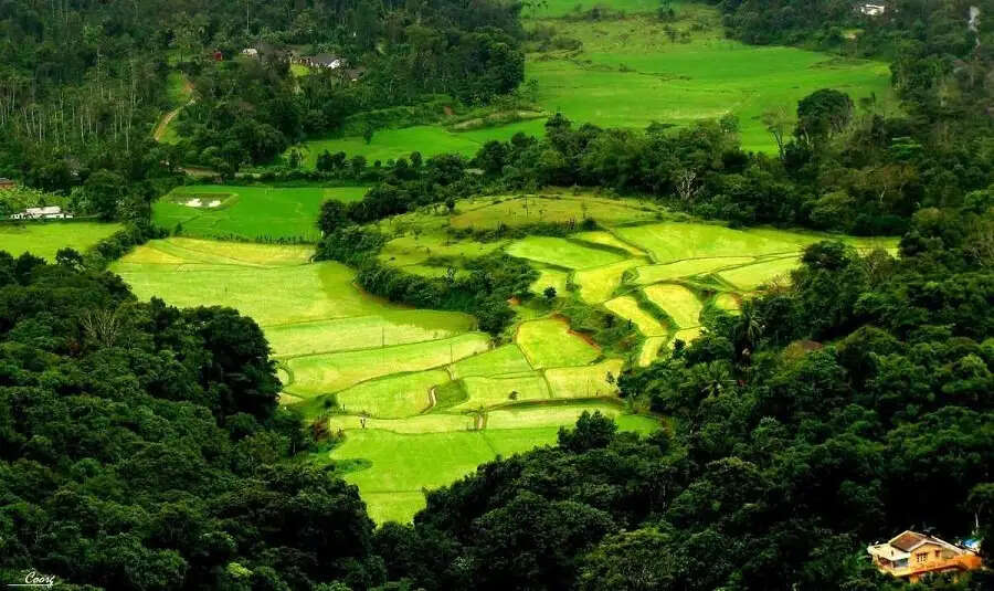 Travel Tips-&nbsp;हनीमून के लिए बेस्ट हैं दक्षिण भारत की यह जगह, जानिए इन जगहों के बारे में