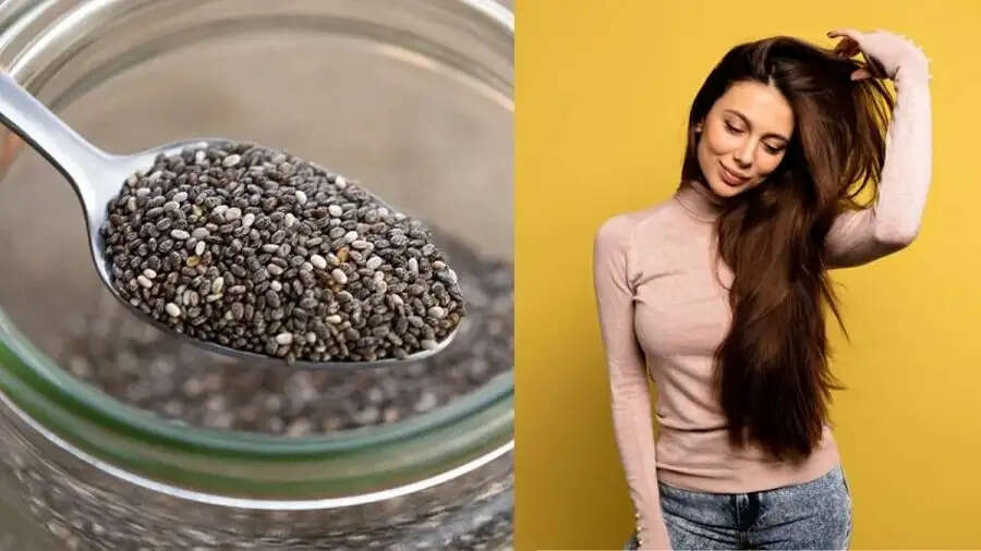Hair Care Tips- क्या आपके बाल झाड़ू जैसे हो गए है, ऐसे लगाए चिया सीड्स