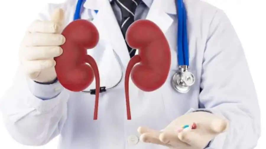 Health Tips- किडनी को स्वस्थ रखने के लिए अपनाएं ये आदतें, जानिए इनके बारे में