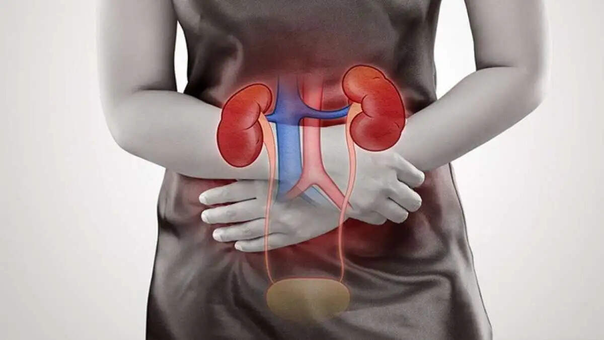 Health Tips- क्या शरीर में दिखाई दे रहे हैं ऐसे लक्षण, तो आपकी किडनी हो गई हैं खराब, जानिए पूरी डिटेल्स