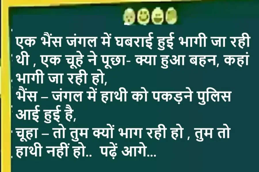 Jokes: एक भैंस जंगल में घबराई हुई भागी जा रही थी , एक चूहे ने पूछा क्या हुआ बहन , कहां भागी जा रही हो, भैंस – जंगल में हाथी को पकड़ने पुलिस आई हुई है, पढ़ें आगे...