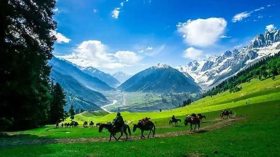 Travel Tips- आखिर भारत की इस जगह का नाम क्यों हैं जीरो, जहां लाखों लोग आते है घूमने, जानिए इसकी वजह