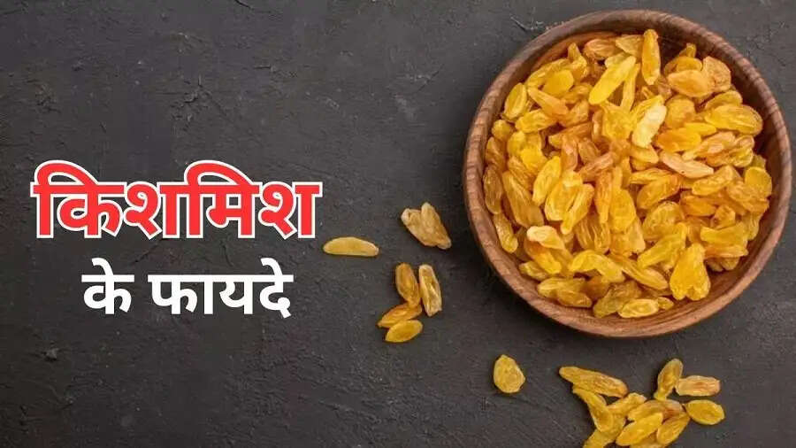 Health Tips- रोजोना किशमिश सेवन के फायदों के बारे में जानें, स्वास्थ्य के लिए होते हैं फायदेमंद