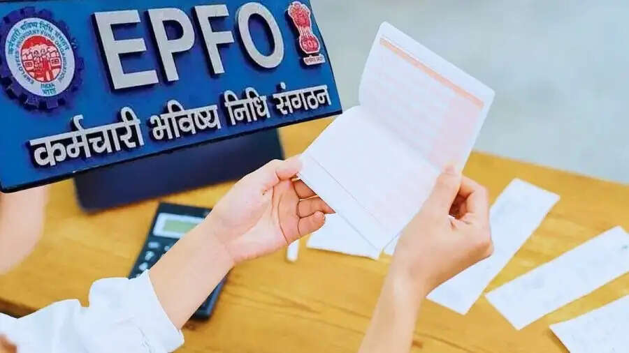 EPFO Passbook Lite- अब मात्र 1 क्लिक में मिलेगी अकाउंट की पूरी डिटेल्स, जानिए इसकी सुविधाओ के बारे में
