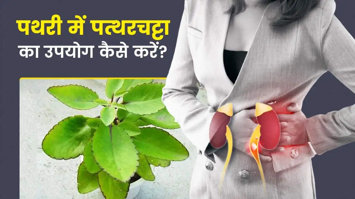 Health Tips- &nbsp;पथरी से जूझ रहे लोग इस पत्ते का करें सेवन, बिना सर्जरी निकल जाएगी पथरी