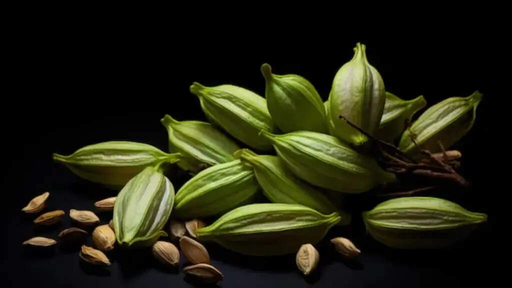 Health Tips- सोने से पहले इलायची खाने के लाभ जानकर हैरान हो जाएंगे आप, ऐसे करें सेवन
