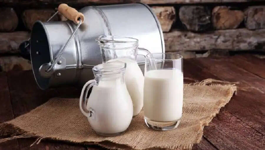 Health Tips-  स्वास्थ्य के लिए भैंस का कच्चा या उबला हुआ दूध, कौनसा पीना सही रहता हैं