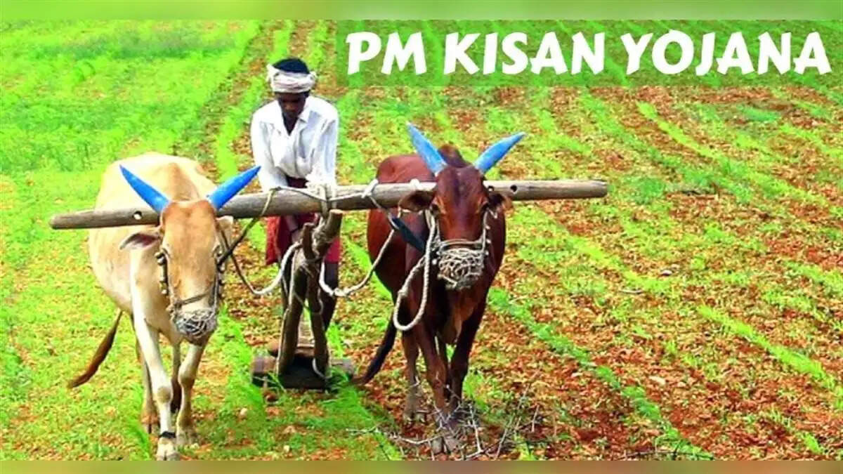 PMKSNY- PM किसान योजना का उठाना चाहते हैं लाभ, तो भूलकर भी ना करें ये काम