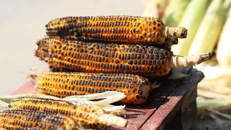 Health Tips-&nbsp;क्या आप बारिश के दिनों में भुट्टा खाने के लाभ जानते है, आइए हम आपको बताते है