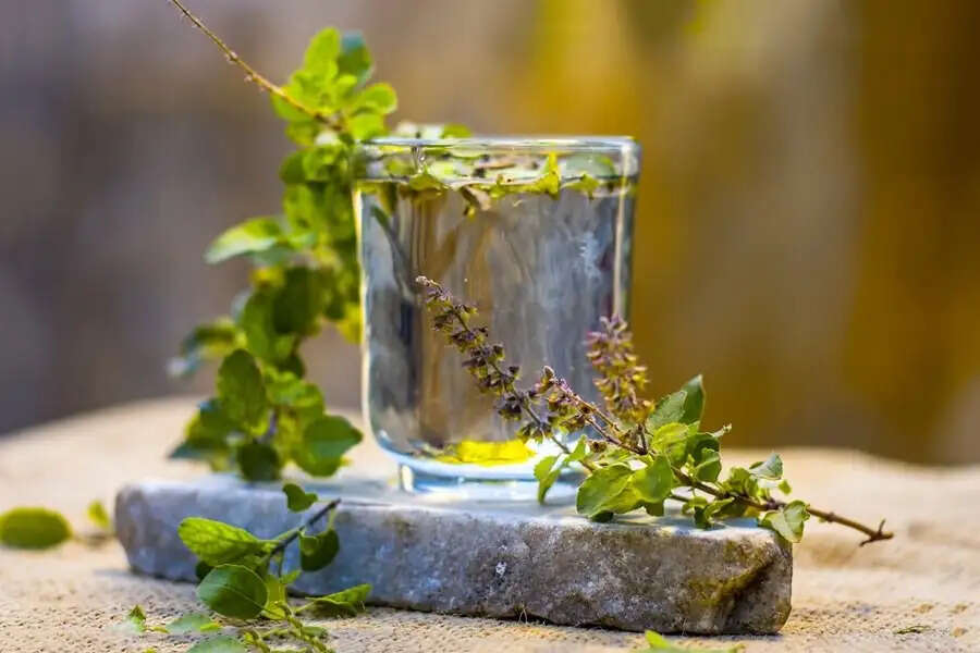 Health Tips-&nbsp;क्या आपको खाली पेट तुलसी पानी पीने के लाभ मालूम है, आइए हम आपको बताते हैं