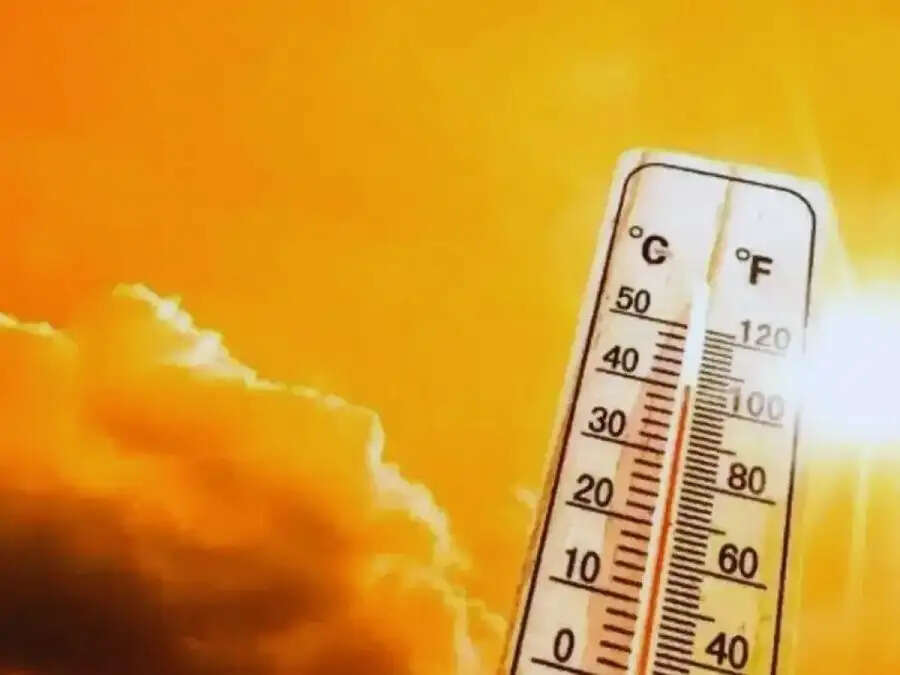 Weather Update: राजस्थान में मौसम विभाग ने दी चेतावनी, हीटवेव के साथ गर्मी का तापमान बढ़ेगा