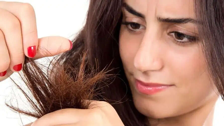 Hair Care Tips-&nbsp; क्या दोमुंहे बालों ने कर रखा हैं परेशान, तो अपनाएं ये देसी उपाय