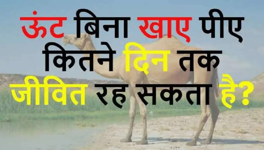 General Knowledge –&nbsp;कई दिनों तक भूखा रह सकते हैं ये जानवर, जानिए इनके बारे में