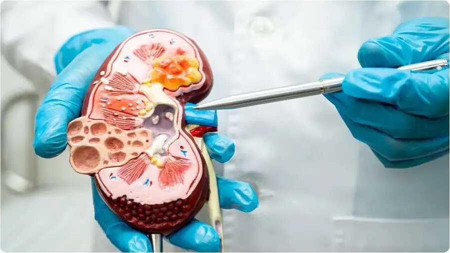 Health Tips- किडनी के लिए खराब होती है आपकी आदतें, आज ही सुधार लें इन्हें