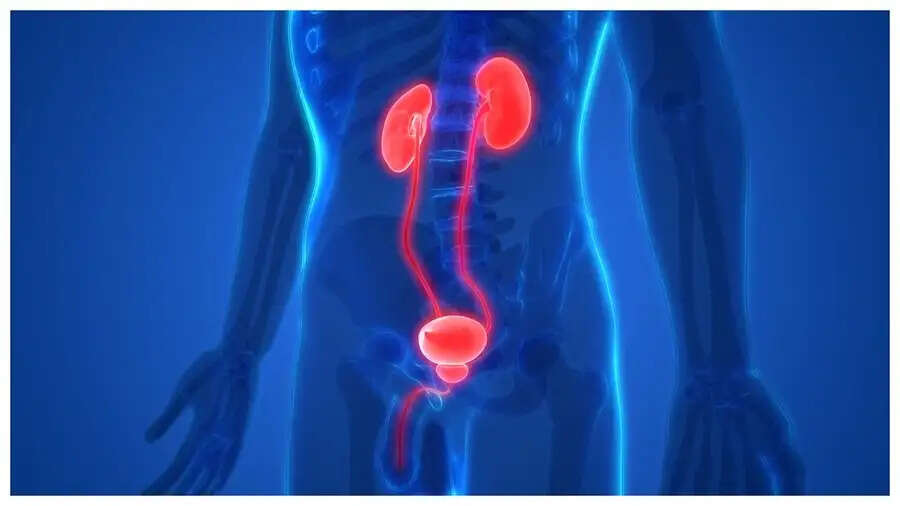 Health Tips-&nbsp;पेशाब में दिखने लगे ये लक्षण, तो फेल होने वाली हैं किडनी, जानिए इसके संकेत