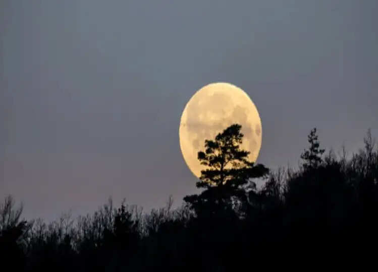 Beaver Moon: 2024 का आखिरी सुपरमून देखना न भूलें! जानें कब और कहाँ देखें?