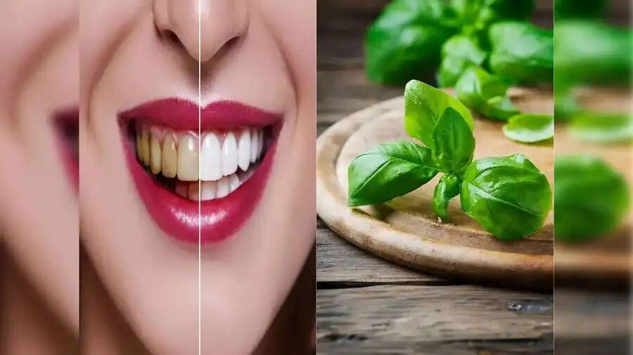 Health Tips- क्या दांतों के पीलेपन से परेशान हैं, तो इन पत्तियों को चबाएं