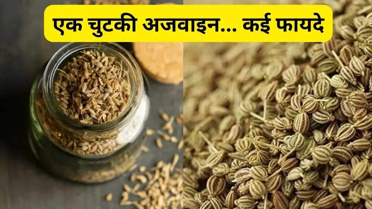 Health Tips- &nbsp;अजवाइन का सेवन स्वास्थ्य के लिए होता हैं फायदेमंद, जानिए इसके फायदे