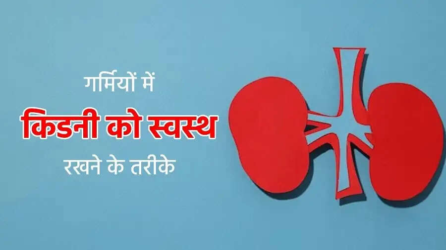 Health Tips-  गर्मी में बढ़ जाता है किडनी फेल का खतरा, जानिए बचने के उपायों के बारे में