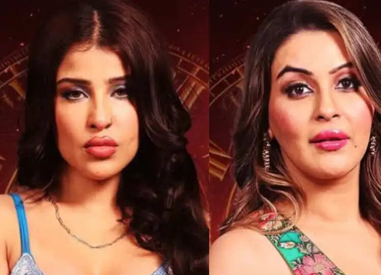 Bigg Boss 18:एडिन रोज़, यामिनी मल्होत्रा ​​के इविक्शन से फैंस हुए खुश, कहा 'इनको पहले दिन ही निकाल देना था'