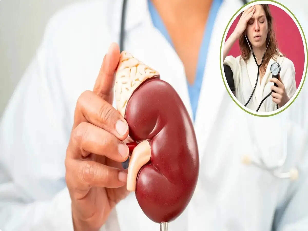 Health Tips- हाई ब्लड प्रेशर होता हैं लिवर और किडनी के लिए खतरनाक, आइए जानें कैसे