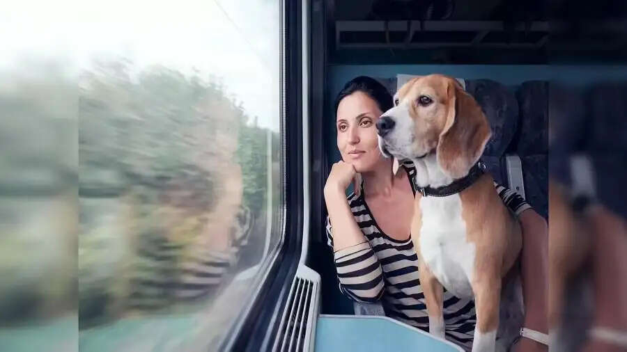 Train Rules- क्या पालतू जानवर के साथ ट्रेन में यात्रा कर सकते हैं, आइए जानें पूरी डिटेल्स
