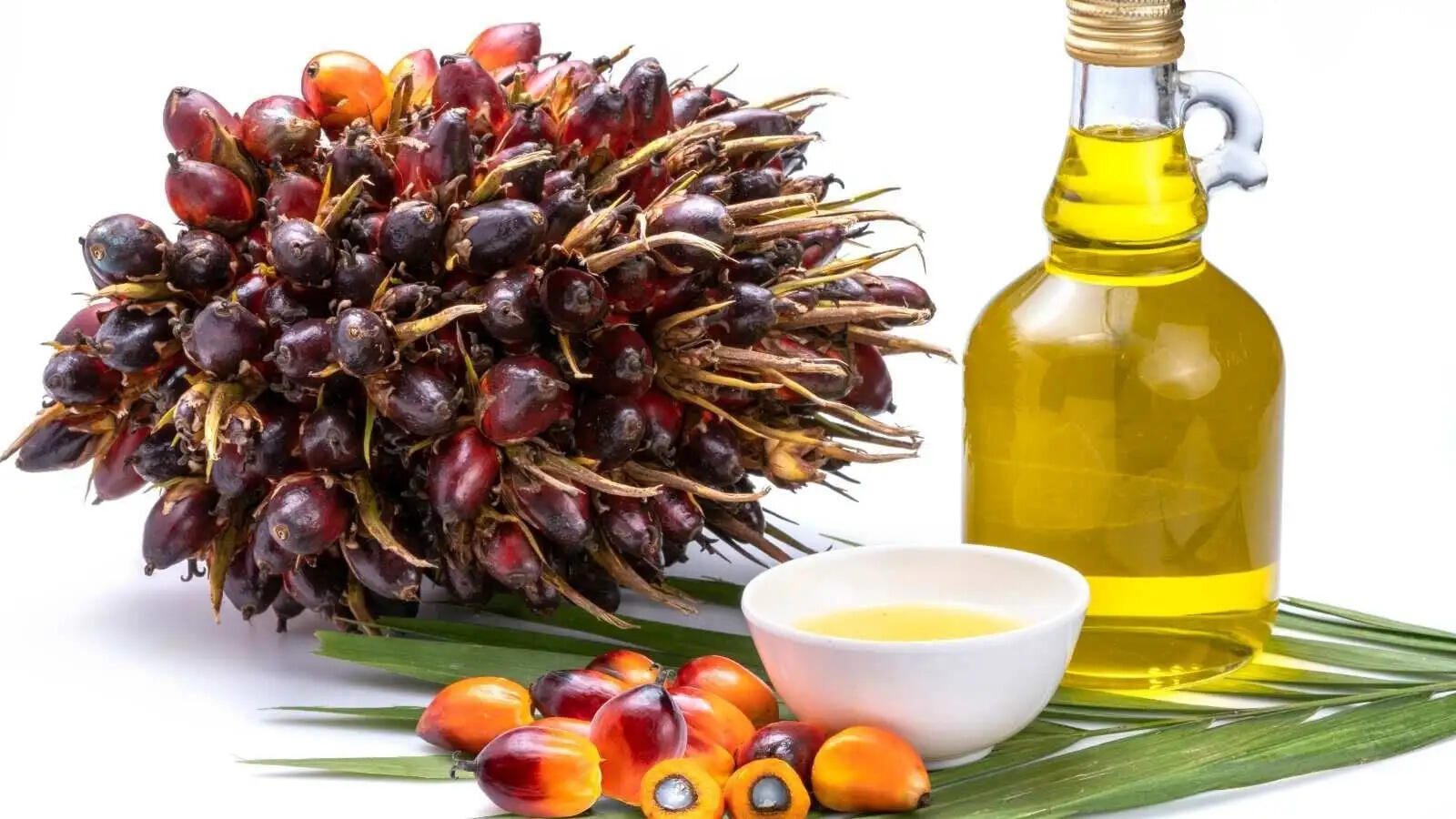 Health Tips- &nbsp;क्या खाने में पाम ऑयल यूज करते हैं, तो हो जाएं सावधान, स्वास्थ्य के लिए होता हैं हानिकारक