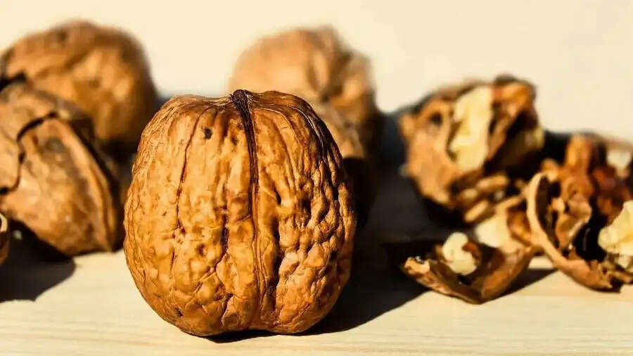General Facts-&nbsp;भारत का सबसे बड़ा अखरोट उत्पादक राज्य कौन सा हैं, आइए जानते हैं