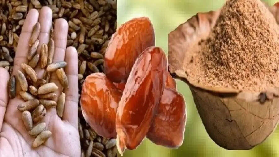 Health Tips-&nbsp;क्या आप खजूर के बीज फैंक देते हैं, इनके सेवन के लाभ जानकर चौंक जाएंगे आप