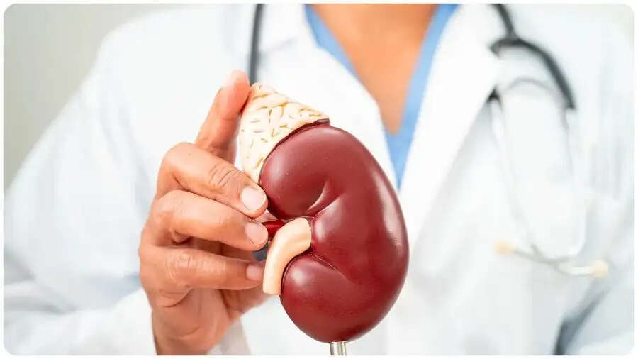 Health Tips- किडनी की समस्या से ग्रसित लोगो को भूलकर भी नहीं खानी चाहिए ये चीजें, जानिए इनके बारे में