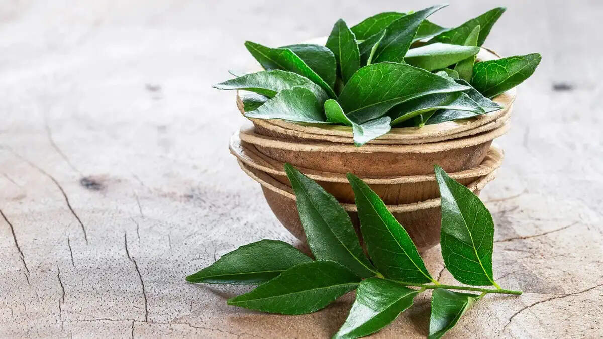 Health Tips- खाली पेट पत्ते चबाने के लाभ जानकर हैरान हो जाएंगे आप, ऐसे करें सेवन