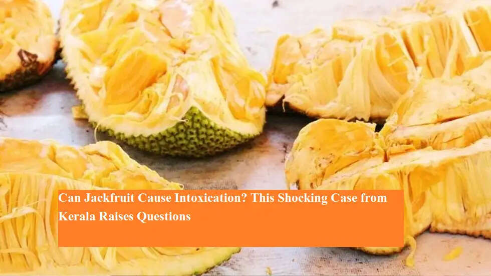 कटहल खाकर नशा? केरल की चौंकाने वाली घटना से उठे कई सवाल, जानिए विशेषज्ञों की राय