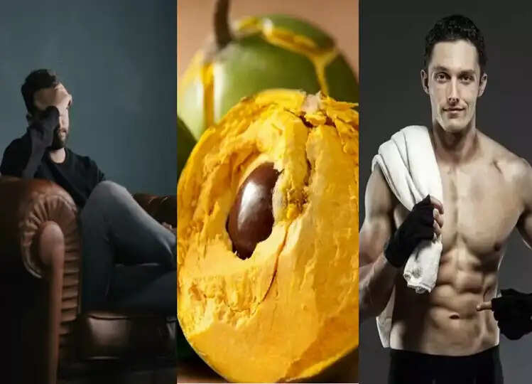 Stamina को बढ़ाने के मामले में शिलाजीत को भी  पीछे छोड़ देता है ये फल, खाते ही मिलेगी पैंथर जैसी ताकत