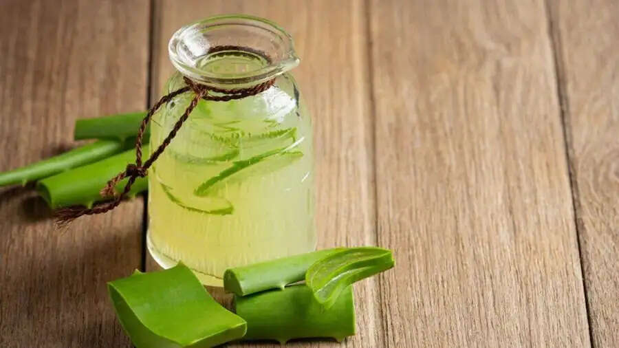 Health Tips- एलोवेरा जूस पीना होता हैं फायदेमंद, जानिए कब और कैसे पीना चाहिए इसें