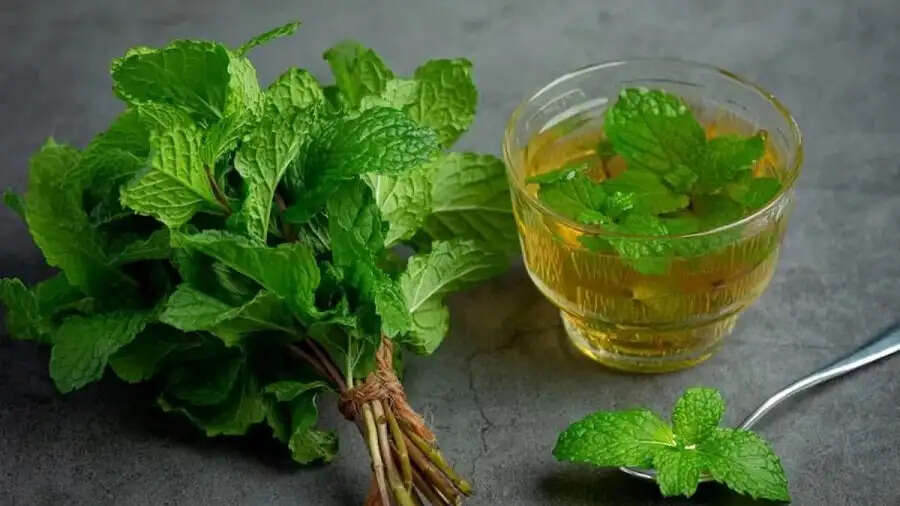 Health Tips-&nbsp; गर्मियों में पुदीना सेवन से मिलते हैं ये स्वास्थ्य लाभ, ऐसे करें सेवन