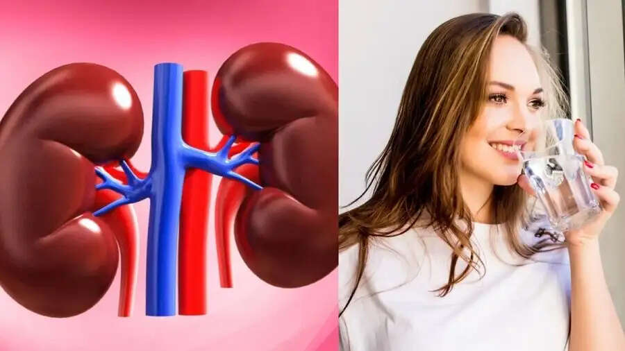 Health Tips-&nbsp;किडनी को स्वस्थ बनाए रखने के लिए कितना पानी पिएं, आइए जानें पूरी डिटेल्स