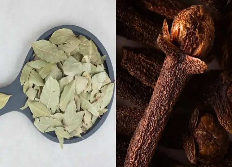 Astrology: रात को सोने से पहले इन दो चीजों से करें उपाय, जमकर बरसेगा पैसा, चमक उठेगा भाग्य