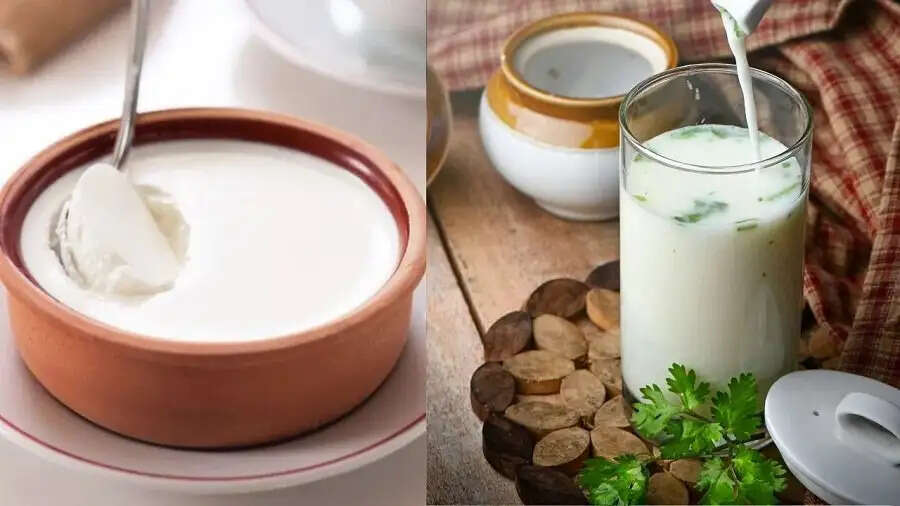 Health Tips-  गर्मियों में स्वास्थ्य के लिए क्या सही हैं, दही या छाछ