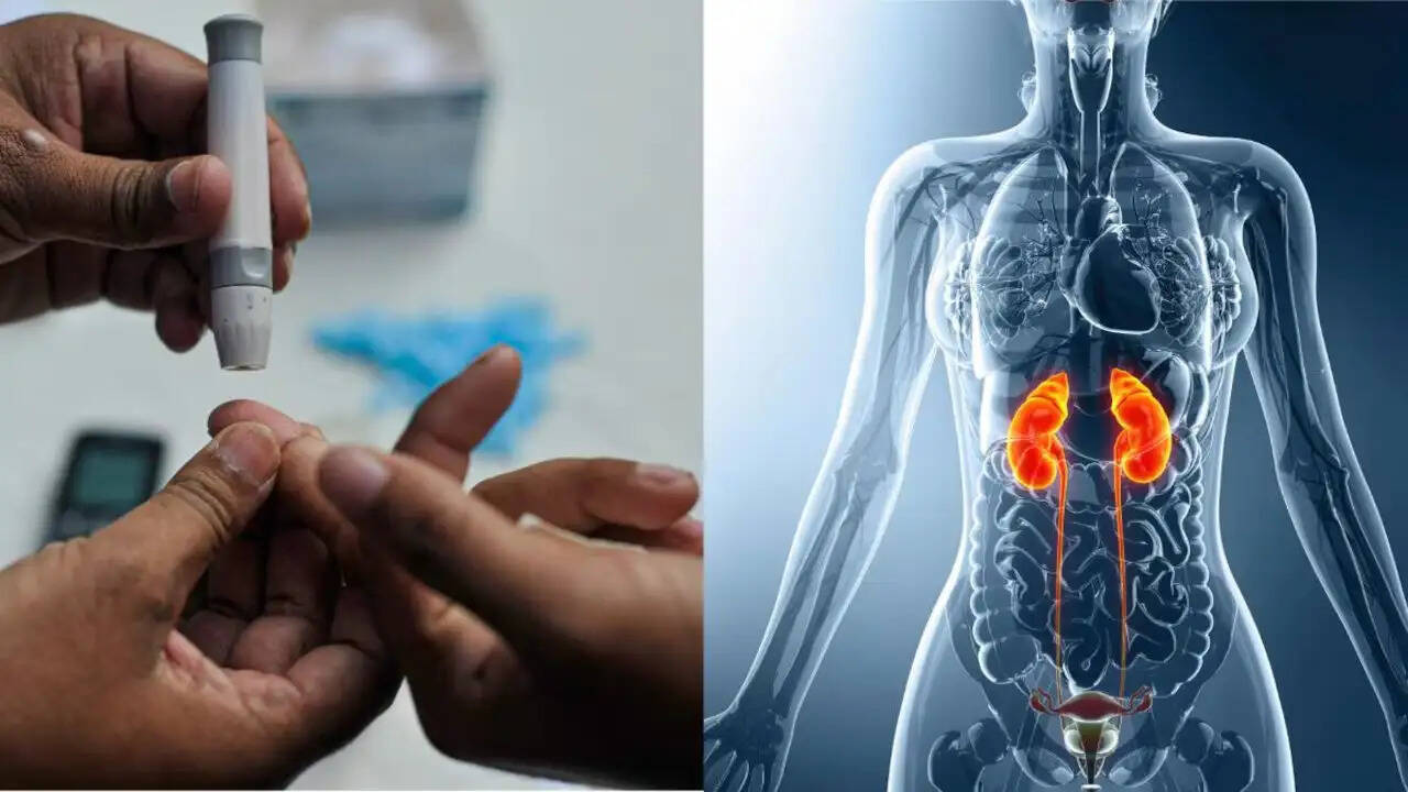 Health Tips- क्या सड़ती किड़नी से परेशान हैं, तो इन ड्रिंक्स का करें सेवन, जानिए पूरी डिटेल्स