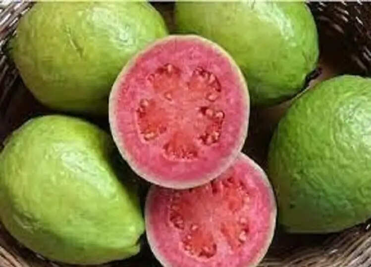 Guava health benefits: रोजाना खाएं एक अमरुद, मिलेंगे ये गजब के फ़ायदे, जानकर होगी हैरानी