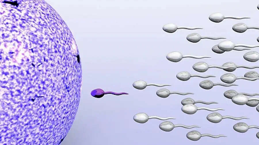 Sperm Quality-&nbsp;स्पर्म क्वालिटी हो गई हैं खराब, तो इन चीजों का करें सेवन