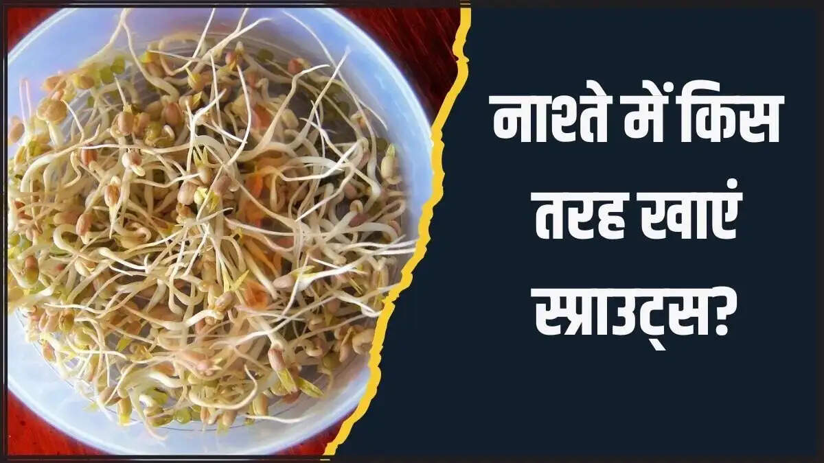 Health Tips- सुबह के नाश्ते में शामिल करें ये हेल्दी स्प्राउट्स, जानिए इनके बारें में