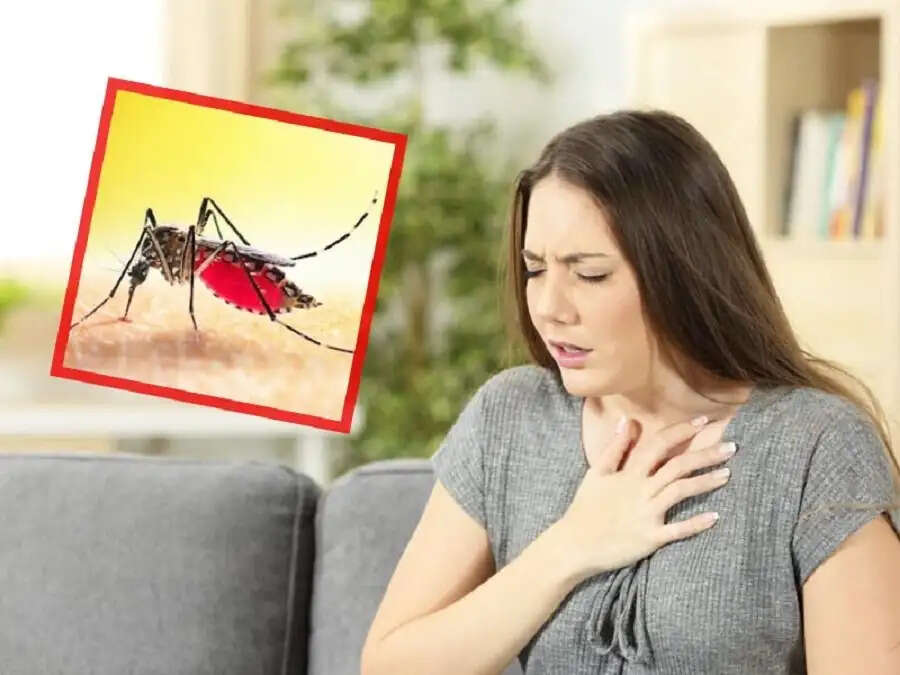 Health Tips-&nbsp;डेंगू होने पर दिखाई देते हैं ये लक्षण, नजरअंदाज करना हो सकता हैं खतरनाक