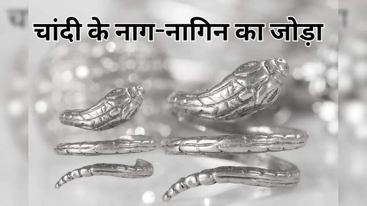 Jyotish Tips-&nbsp;आखिर क्यों घर की नींव में चांदी के नाग-नाग रखें जाते हैं, जानिए पूरी डिटेल्स