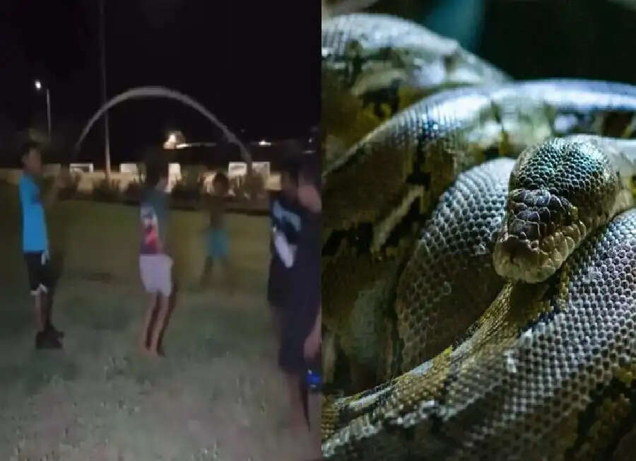 Viral Video: सांप को पकड़कर बच्चे खेलने लगे रस्सी कूद, वीडियो वायरल