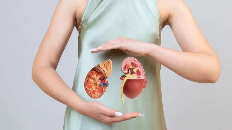 Health Tips-&nbsp;किडनी खराब होने पर दिखाई देते हैं ये लक्षण, जानिए पूरी डिटेल्स