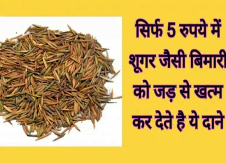 सिर्फ 5 रुपए के खर्च से जड़ से खत्म हो जाएगी ब्लड शुगर, डॉक्टरों पर नहीं खर्च करने पड़ेंगे हजारों रुपए