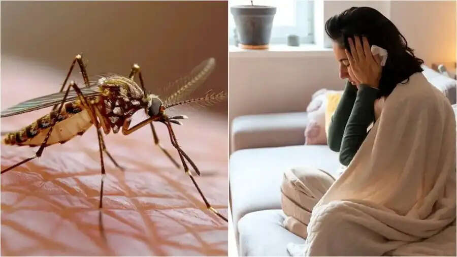 Health Tips- डेंगू के इन लक्षणों को ना करें नजरअंदाज, जानलेवा हो सकता है परिणाम